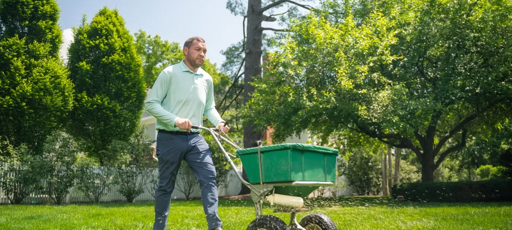 A DreamLawn team member spreading seed
