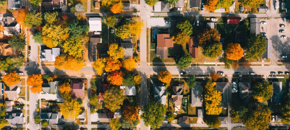 a neighborhood from above in autumn