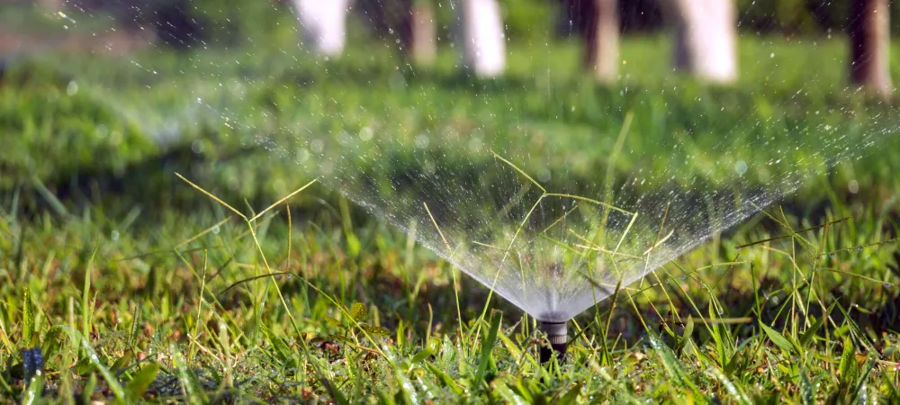sprinkler heads in grass
