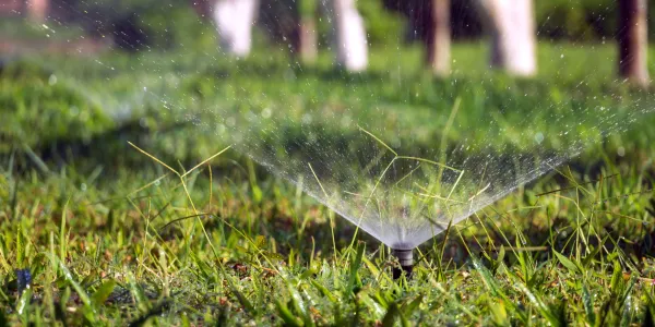 sprinkler heads in grass